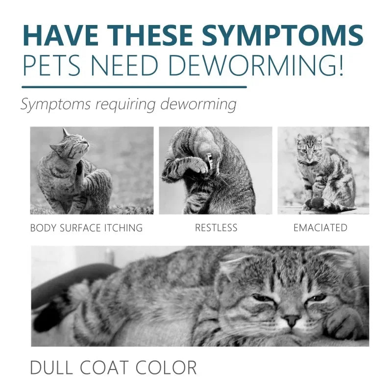 50ml Pet Anti Flea Tick Agent for Cats, Dogs, and Dogs. Extracorporeal Deworming Skin Cleaning Agent for Lice, Ticks, and Ticks