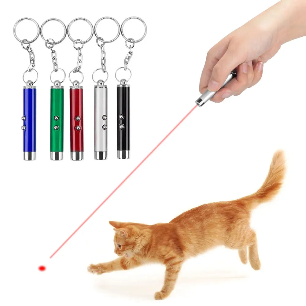 2-In-1 Cat Pet Toy Red Laser Light LED Pointer Pen Torch Interactive Training Pet Toy Pen Dog Toy Keyring 4mW Fun Toys Laser