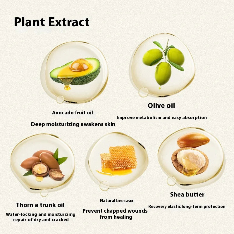 Avocado Sea Buckthorn Shea Pet Paw Protection Cream Foot Cracking Cream Dog Cleaning and Washing Plant Essence Foot Protection
