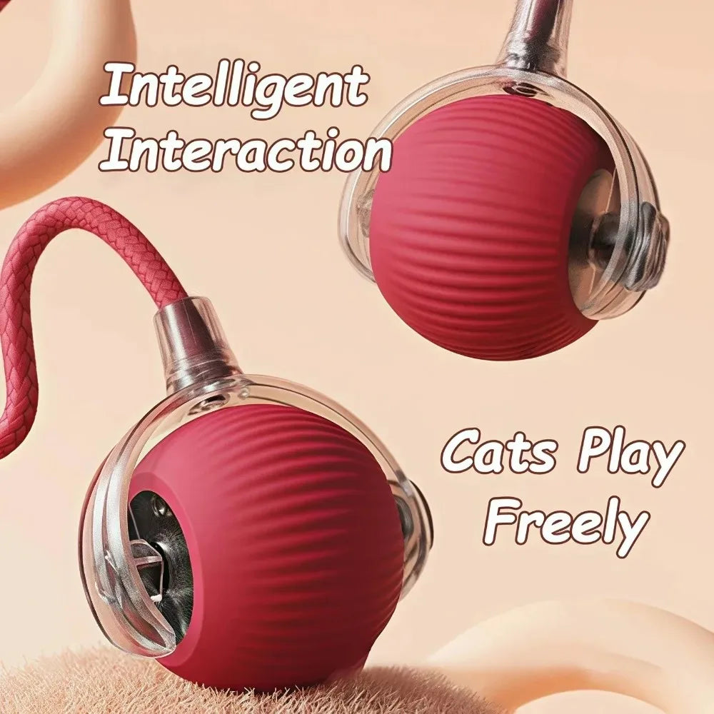 Pet Toy nteractive Rolling Cat Ball, Dog Toys Indoor, 360° Smart Automatic Rolling Ball Faux Tail Rechargeable Electric Pet Toy