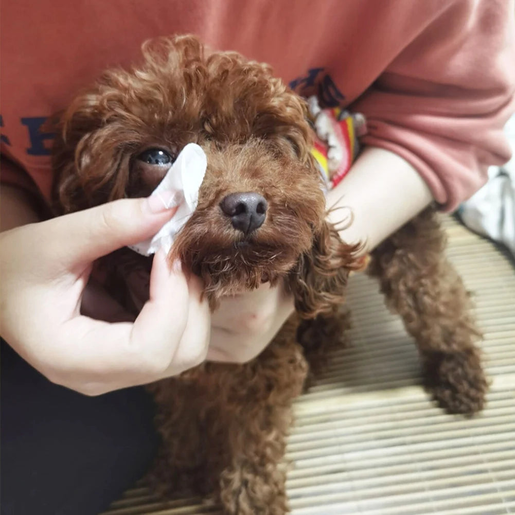 130 Count Dog Eye Wipes Extra Moist Grooming Puppy Wipes All-Natural Pet Wipes Aloe Vera Removes Dirt Discharge for Dogs Cats
