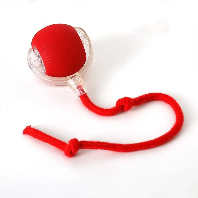 Pet Toy nteractive Rolling Cat Ball, Dog Toys Indoor, 360° Smart Automatic Rolling Ball Faux Tail Rechargeable Electric Pet Toy